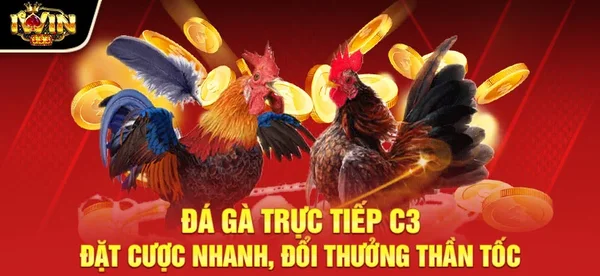 Cách tham gia chơi Đá gà IWIN68 như thế nào?