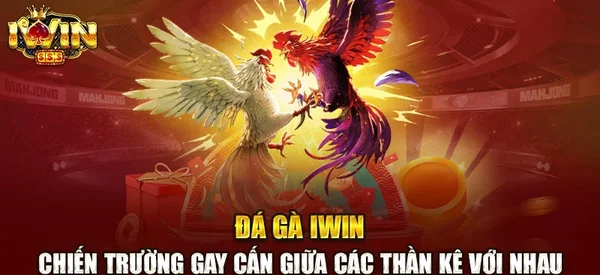 Kinh nghiệm tham gia chơi Đá gà IWIN68 hiệu quả nhất