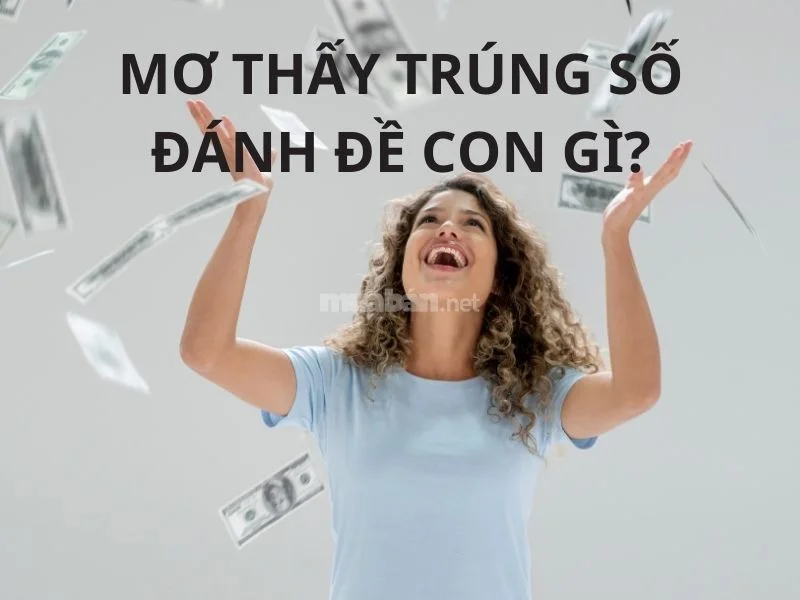 Mơ thấy trúng đề mang theo điềm báo gì? mơ thấy trúng đề đánh con gì?