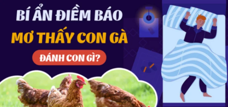 Mơ thấy gà là điềm báo tốt hay xấu? mơ thấy gà đánh đề con gì?