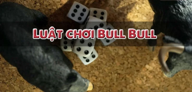 Tìm hiểu thông tin về trò chơi bài Bull Bull