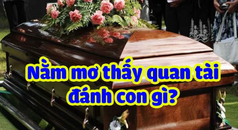 Điềm báo trong giấc mơ nhìn thấy quan tài? Mơ thấy quan tài đánh con đề gì?