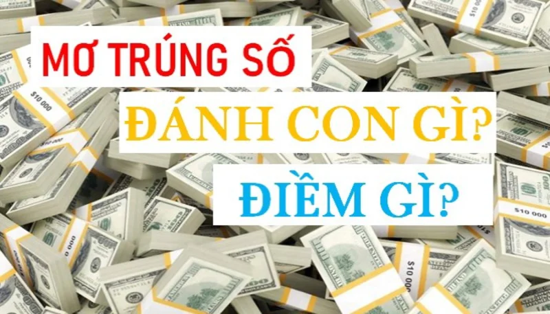 Điềm báo tốt hay xấu khi thấy trúng số độc đắc? Mơ thấy trúng đề thì đánh con gì?