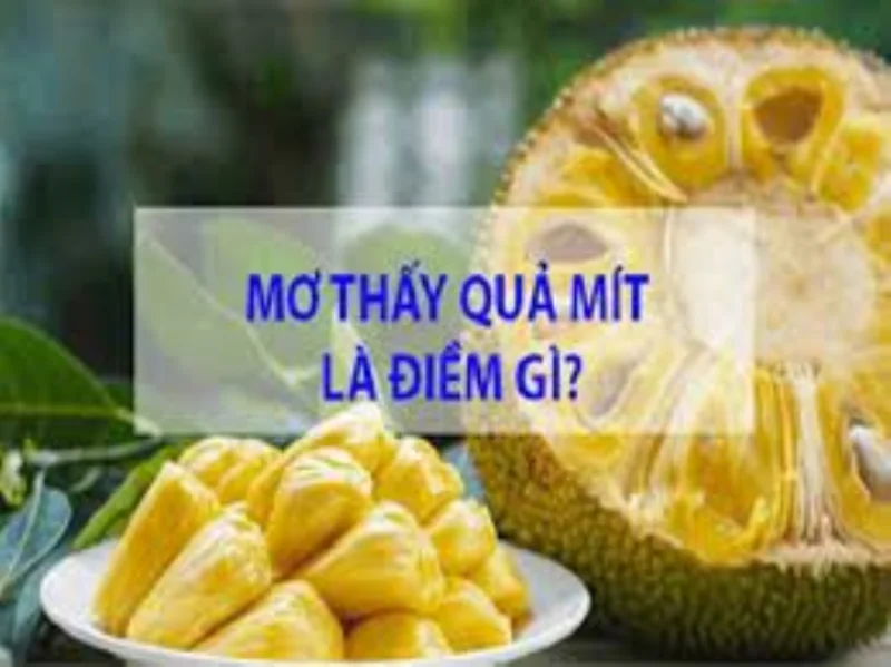 Mơ thấy quả mít là điềm báo tốt hay xấu - Mơ thấy quả mít đánh đề con gì?